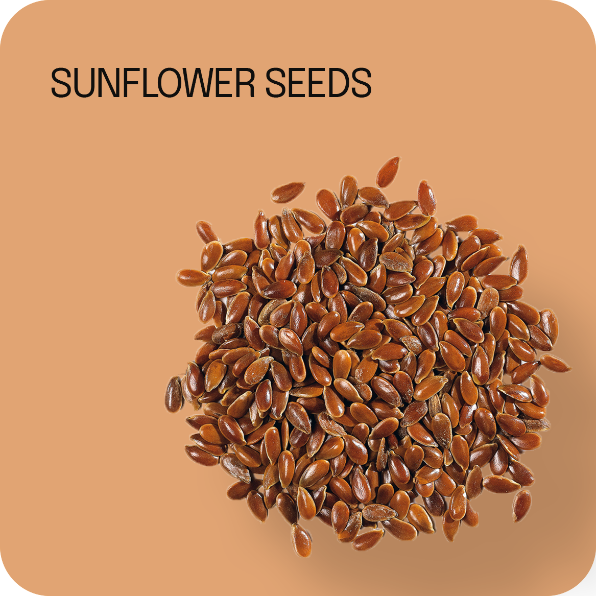Seeds